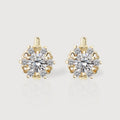 Heart Halo Zirconia Huggie Earrings